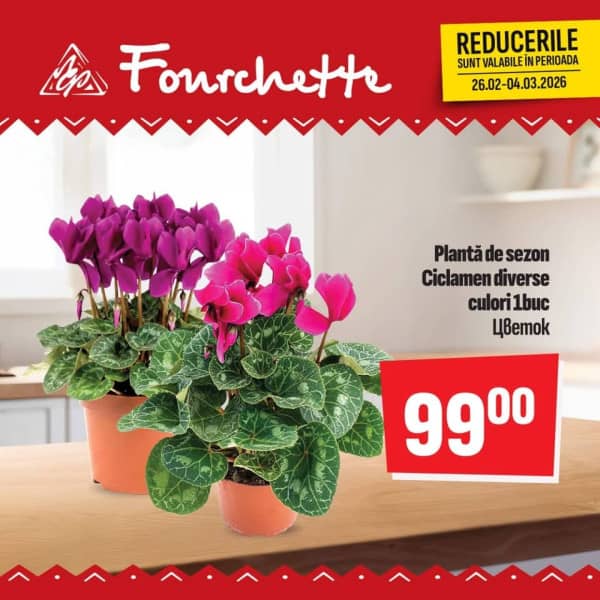 Cataloage Fourchette: Oferta săptămânii Nr.9 - 26-02-2026 - 04-03-2026.