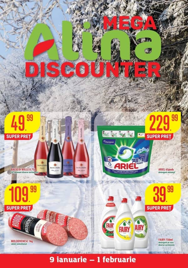 Каталоги Mega Alina Discounter: Буклет января - 14-01-2026 - 01-02-2026.
