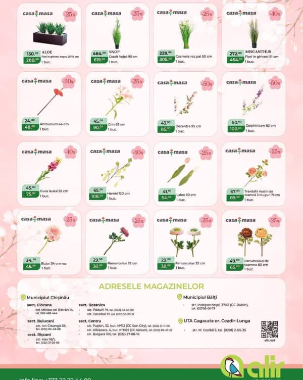 Cataloage Alir: Ofertă 8 Martie - 24-02-2026 - 15-03-2026.