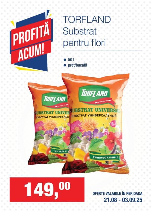 Cataloage Profită acum la METRO! (Nr. 16) - 21-08-2025 - 03-09-2025.