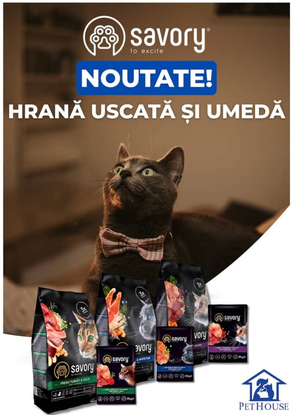 Cataloage Pet House: Oferta lunii octombrie - 01-10-2025 - 31-10-2025.