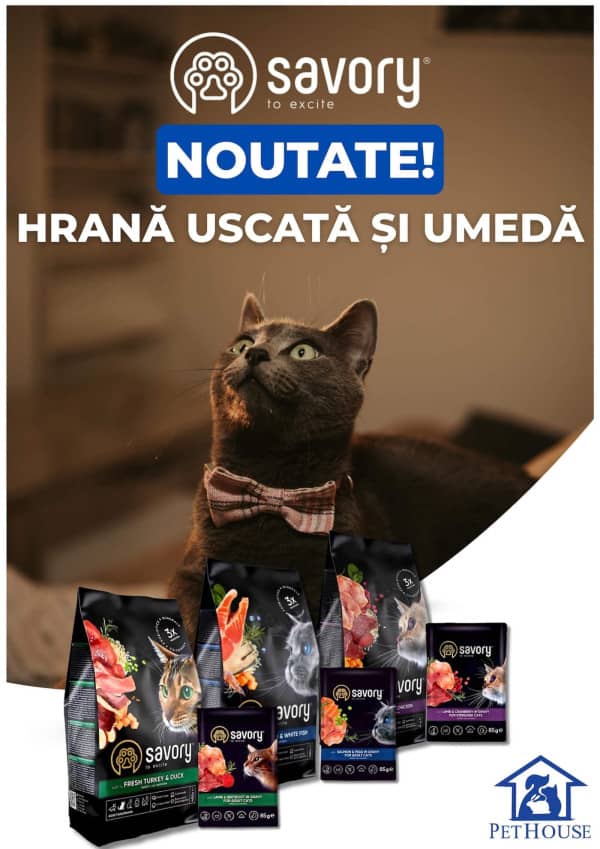 Cataloage Pet House: Oferta lunii septembrie - 01-09-2025 - 30-09-2025.
