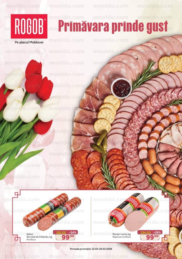 Cataloage Rogob: Reduceri de primăvară - 12-03-2026 - 25-03-2026.