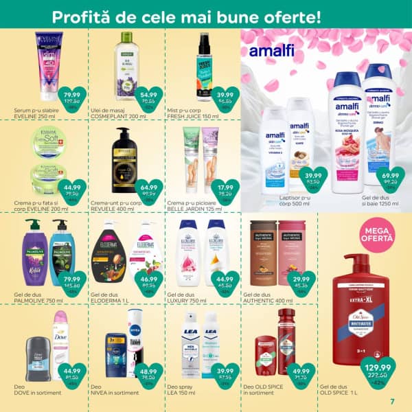 Cataloage Imparatia Curateniei - Oferta lunii aprilie - 30-03-2026 - 30-04-2026.