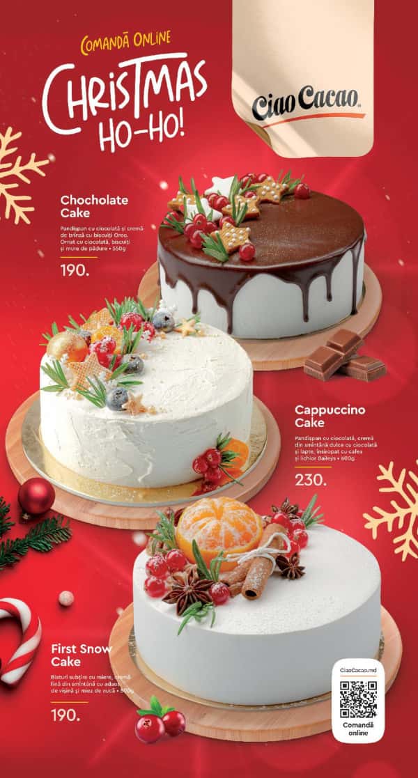 Torte de sarbatoare Andy's