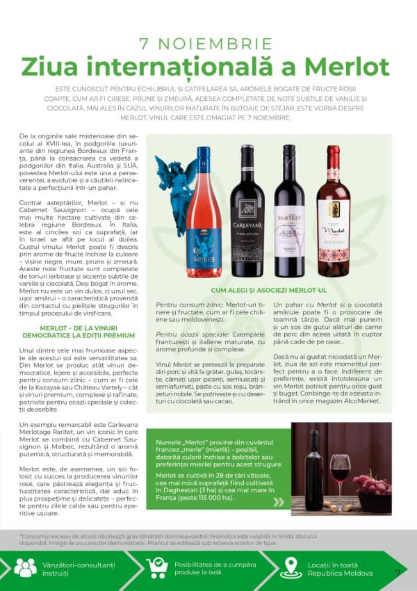 Каталоги Alcomarket: Буклет ноября - 06-11-2025 - 19-11-2025.