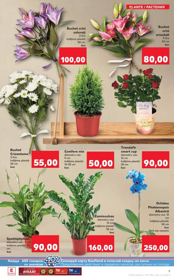 Cataloage Kaufland: Descoperă ofertele din perioada 10.07 - 16.07 - 10-07-2025 - 16-07-2025.