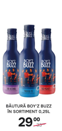 Напиток Boy'z Buzz в ассортименте 0.25л
