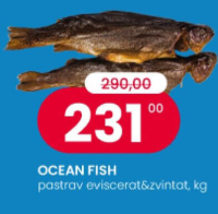 Ocean Fish păstrăv eviscerat & zvîntat, kg