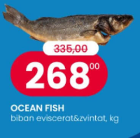Ocean Fish biban eviscerat & zvîntat, kg