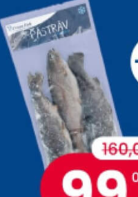 Ocean Fish păstrăv eviscerat congelat, cal. 200-300 kg