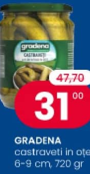 GRADENA castraveți în oțet 6-9 cm 720 gr