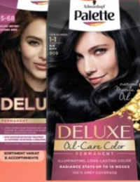 PALETTE Vopsea de păr 1buc