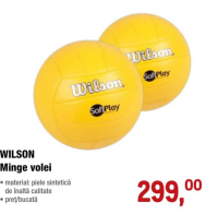 Wilson Волейбольный мяч