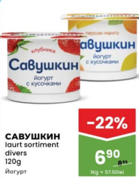 Savushkin Iaurt sortiment divers 120g