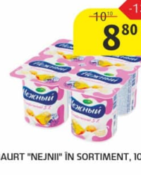 Nejnii Iaurt în sortiment 100 g