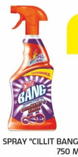 Cillit Bang Spray în sortiment 750 ml