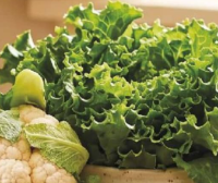 Salată Lollo verde calitatea I buc