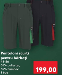 Parkside Pantaloni scurți pentru bărbați 48-56 1 buc