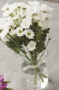 Букет хризантем 3 ветки высота растения 50 см шт