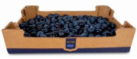Metro Chef Голубика 1кг