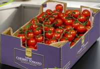 METRO Premium Roșii Cherry 1.5 kg