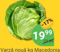 Varză nouă kg Macedonia