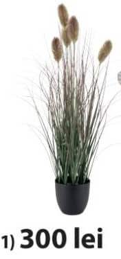 Ederfugl Растение 80 см