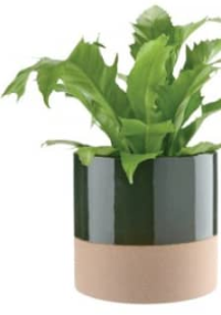 Цветочный горшок KRAGE Ø16 x 15 см