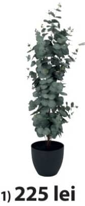 Ripa Искусственное растение Эвкалипт 90 см