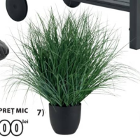 HAVELLE РАСТЕНИЕ Ø85 x В65 см