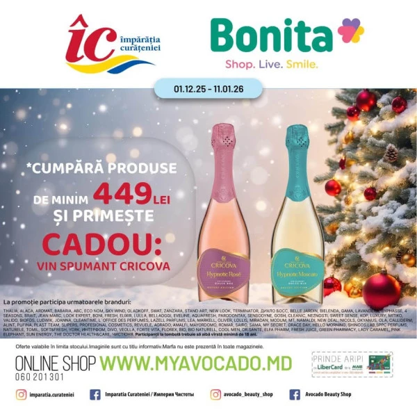 Catalog Împărăția Curățeniei: Oferta lunii decembrie
